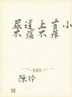 尿道上有小水泡不痛不痒