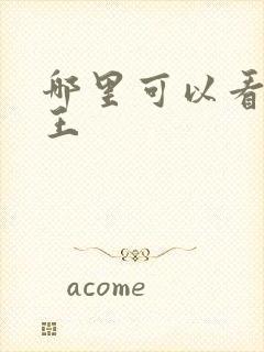 哪里可以看海贼王