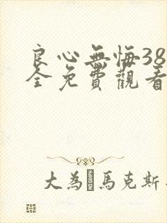 良心无悔38集全免费观看封面