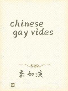 chinese gay vides