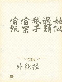 偷偷越过她by甄栗子类似小说