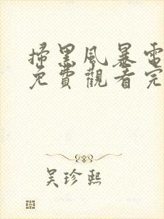 扫黑风暴电视剧免费观看完整版高清