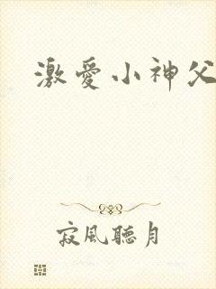 激爱小神父