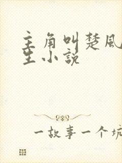 主角叫楚风的重生小说封面