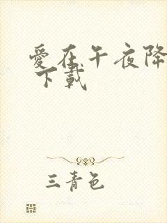 爱在午夜降临前 下载