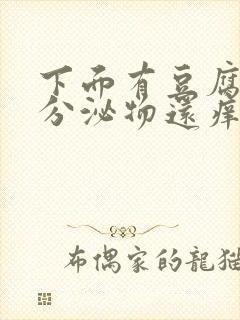 下面有豆腐渣状分泌物还痒用什么药