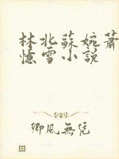 林北苏婉萧晴韩忆雪小说