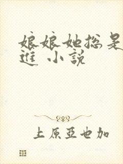 娘娘她总是不上进 小说封面