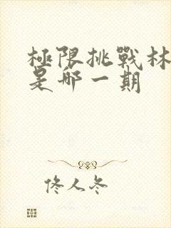 极限挑战林更新是哪一期