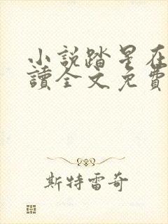 小说踏星在线阅读全文免费