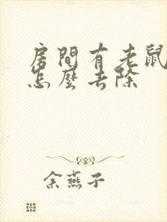 房间有老鼠尿味怎么去除