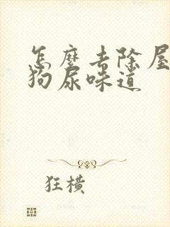 怎么去除屋里的狗尿味道