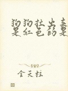 狗狗拉出来的尿是红色的是什么原因封面