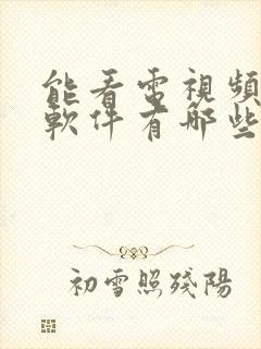 能看电视频道的软件有哪些