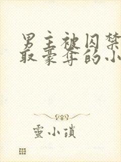 男主被囚禁被强取豪夺的小说笔趣阁