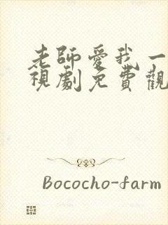 老师爱我一次电视剧免费观看