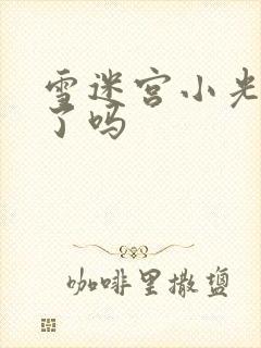 雪迷宫小光牺牲了吗