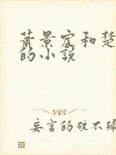 萧景宸和楚云舒的小说封面