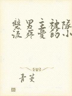 双男主被队友轮流疼爱的小说