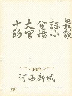 十大公认最好看的官场小说完本