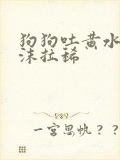 狗狗吐黄水带泡沫拉稀封面