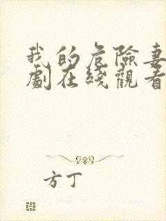 我的危险妻子日剧在线观看封面