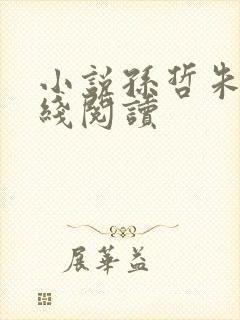 小说孙哲朱彦在线阅读