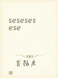 sesesesese封面