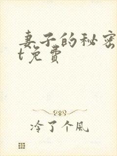 妻子的秘密txt免费封面