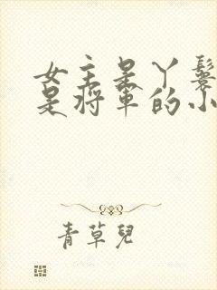 女主是丫鬟男主是将军的小说