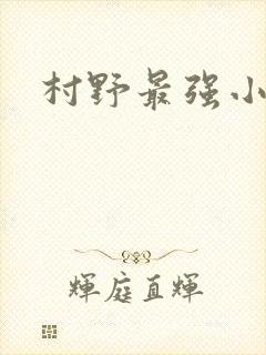 村野最强小农民
