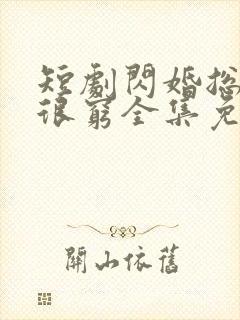 短剧闪婚总裁都很穷全集免费观看