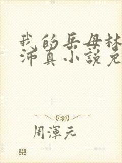 我的岳母林道苏沛真小说免费阅读