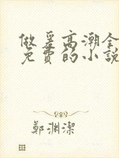 做爰高潮全过程免费的小说