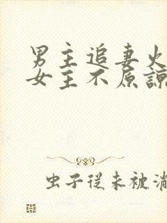 男主追妻火葬场女主不原谅