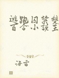 逃跑囚禁双女主百合小说主受