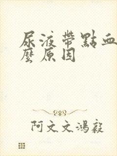 尿液带点血是什么原因封面