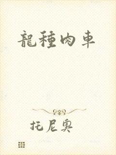 龙种肉车封面