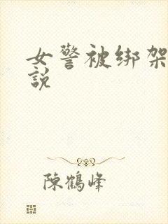 女警被绑架的小说