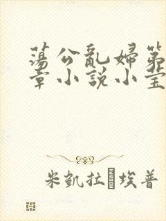 荡公乱妇第51章小说小莹