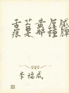 舌苔黄厚腻有齿痕是哪种脾虚