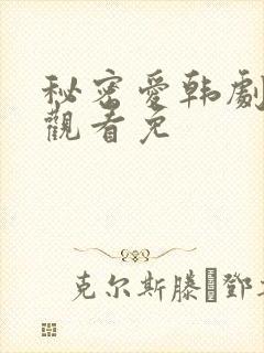 秘密爱韩剧在线观看免封面