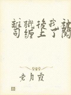 离职后我被前上司缠上了阅读全文全文