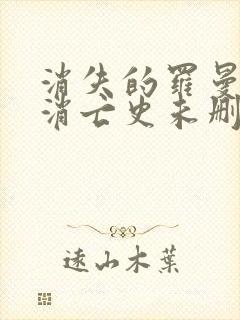 消失的罗曼蒂克消亡史未删版封面