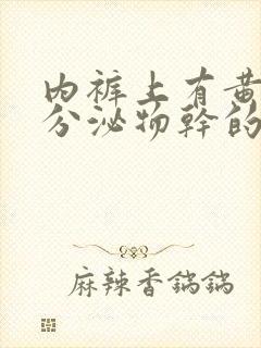 内裤上有黄黄的分泌物干的是怎么回事封面