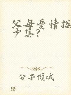 父母爱情总共多少集?封面