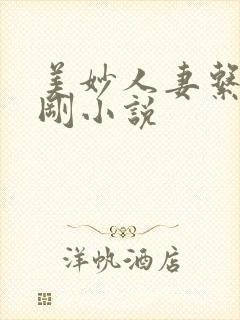 美妙人妻系列陈刚小说封面