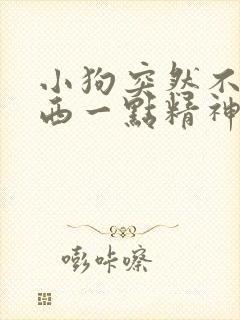 小狗突然不吃东西一点精神都没有