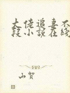 大佬追妻不择手段小说在线收听