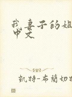 我妻子的姐姐2中文封面